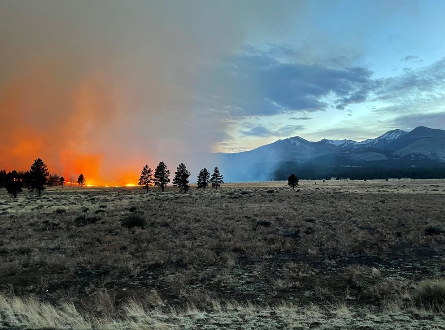 Two More Chains publication