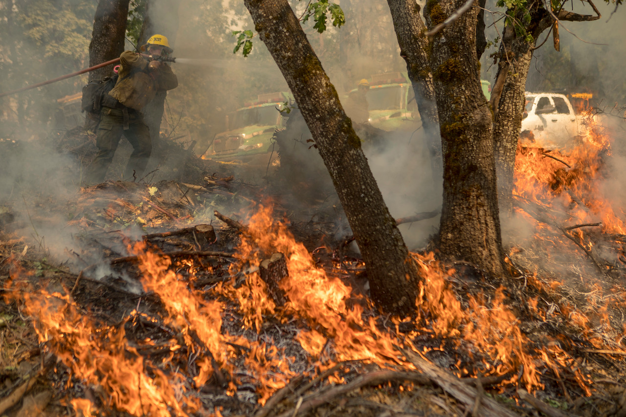 Wildland firefighters on the fireline